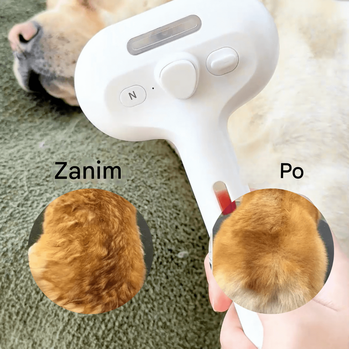 Porównanie sierści psa przed i po użyciu szczotki parowej