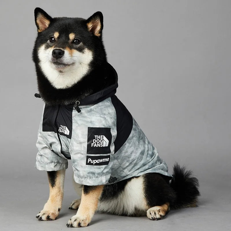 Czarny pies rasy Shiba Inu w odblaskowej kurtce przeciwdeszczowej