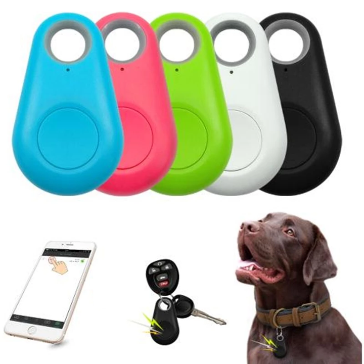 Kolorowe lokalizatory GPS Bluetooth oraz pies w obroży z brelokiem