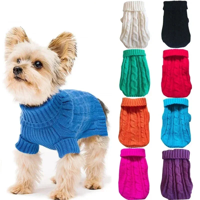 Mały pies rasy Yorkshire Terrier w niebieskim swetrze obok różnych kolorów sweterków