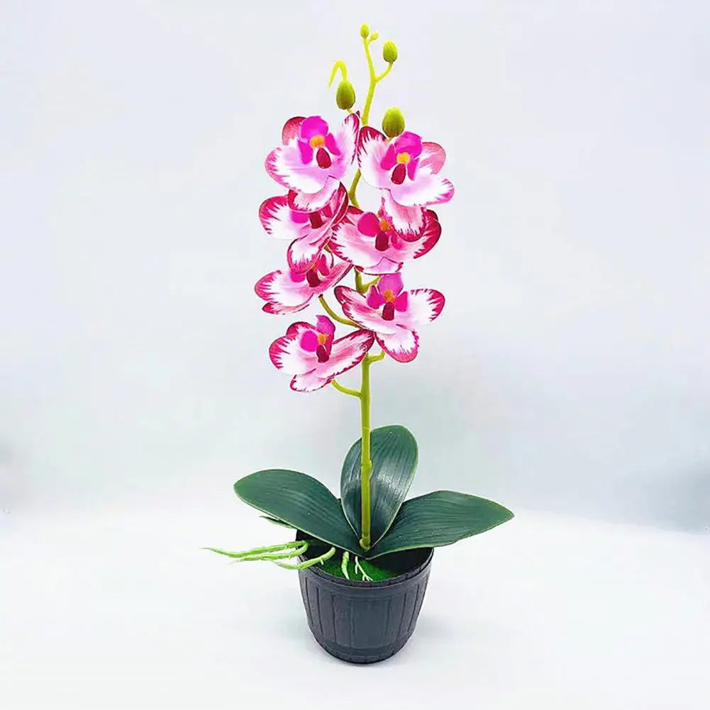 Sztuczna orchidea doniczkowa, białe kwiaty, element wystroju wnętrz.