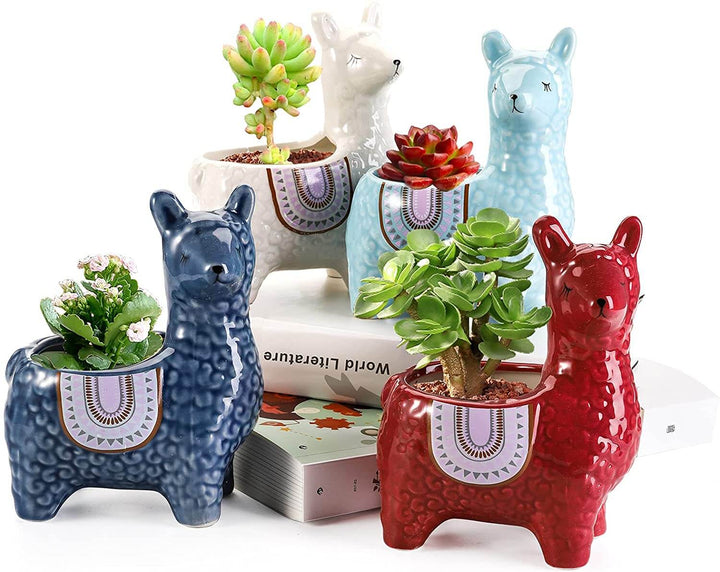 Doniczka alpaka ceramiczna na sukulenty i kaktusy. Ożyw swój dom tym uroczym elementem.
