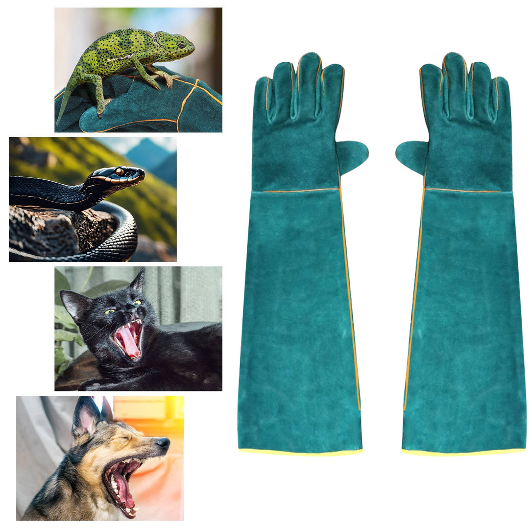 Długie rękawice ochronne ze skóry bydlęcej, zabezpieczające przed ugryzieniami zwierząt podczas pielęgnacji i tresury.
