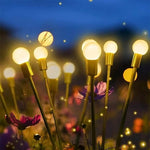 Firefly
