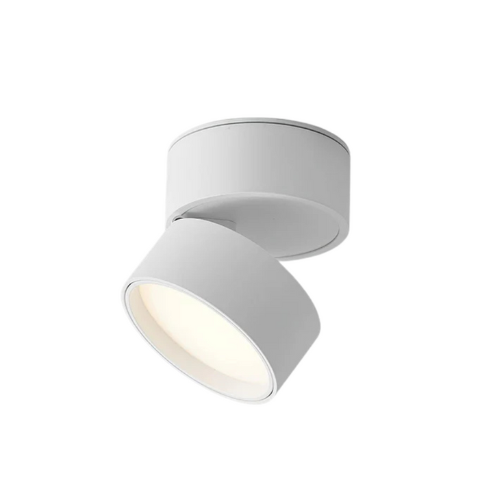 Lampa sufitowa LED z obrotowym reflektorem, idealna do akcentowania światła. Nowoczesne oświetlenie wnętrz.
