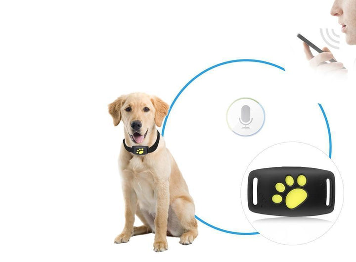 Zestaw: Lokalizator GPS i obroża dla kota. Akcesorium do śledzenia w czasie rzeczywistym, zwiększające bezpieczeństwo Twojego pupila.