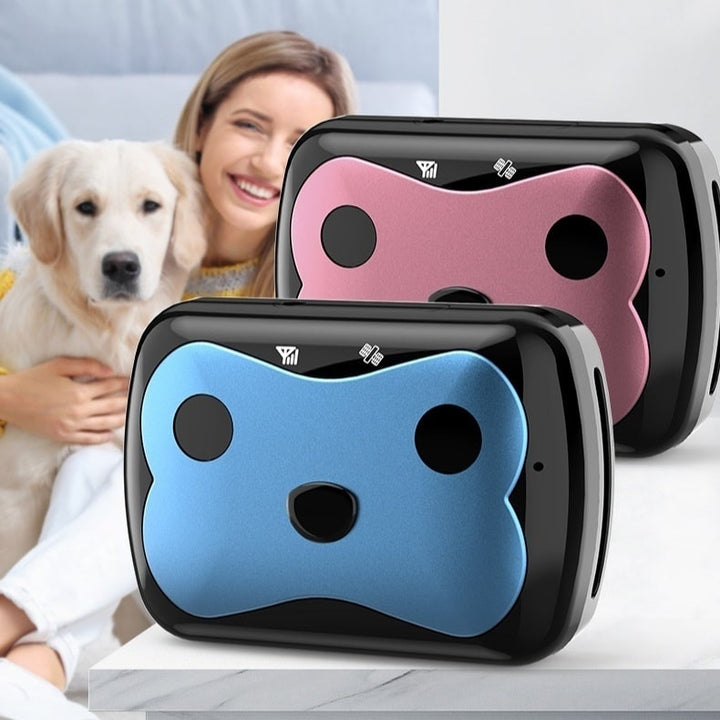 Niebieska obroża GPS dla psa z aplikacją mobilną. Akcesoria dla zwierząt do monitoringu i śledzenia.