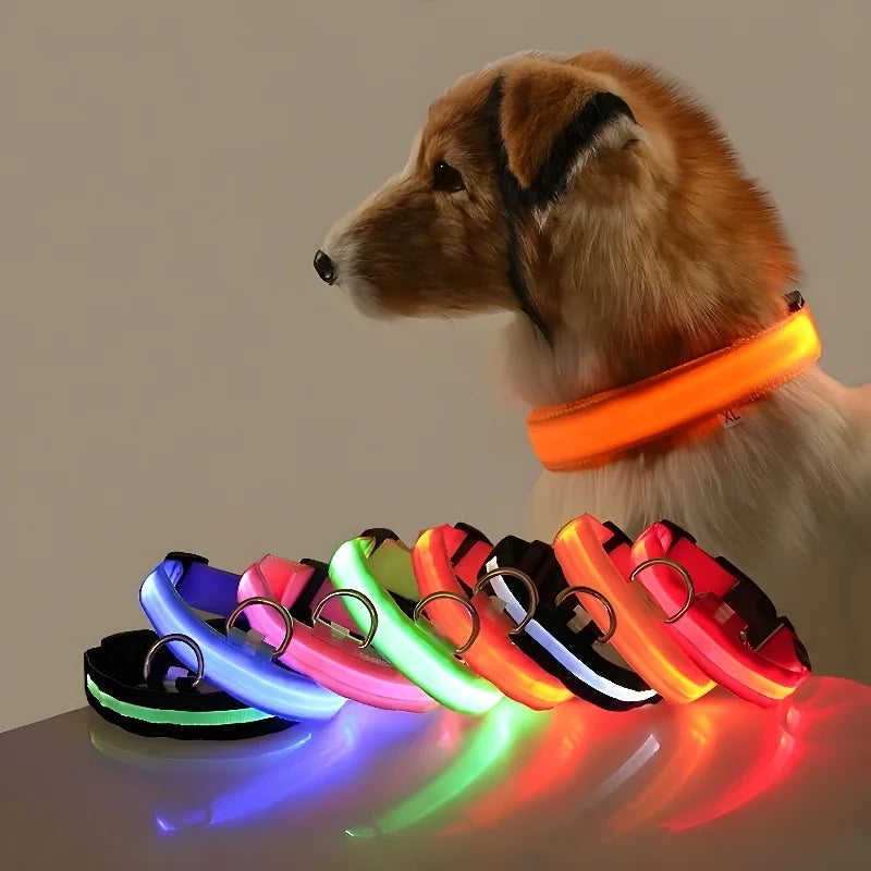 Obroża LED dla psa, fluorescencyjna, zwiększa bezpieczeństwo i widoczność psa podczas nocnych spacerów.