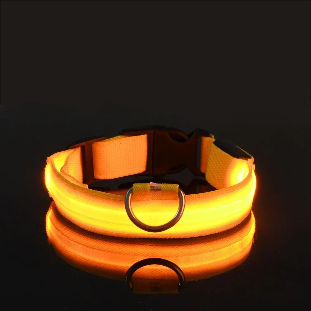 Obroża fluorescencyjna LED dla psa, klucz do bezpiecznych wieczornych spacerów, zwiększa widoczność.