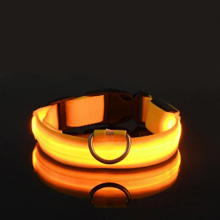 Obroża fluorescencyjna LED dla psa, klucz do bezpiecznych wieczornych spacerów, zwiększa widoczność.