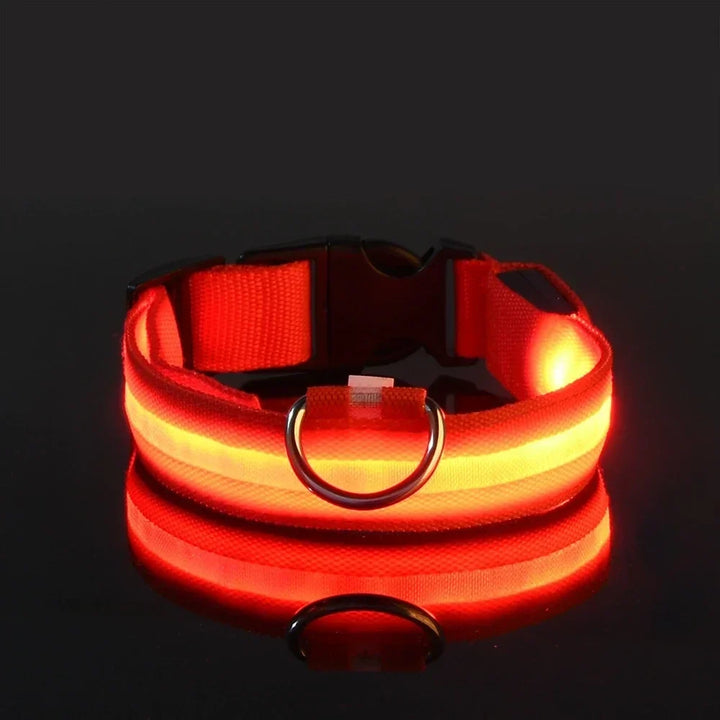 Akcesoria dla psa: obroża LED, fluorescencyjna, zapewniająca bezpieczeństwo i widoczność psa w ciemności.