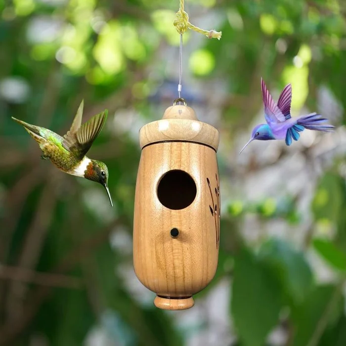Wiszący domek dla kolibrów w ogrodzie wśród zieleni