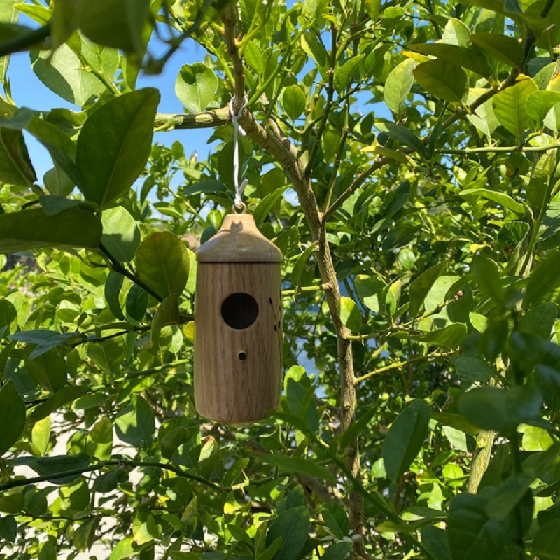 Drewniany domek dla kolibrów i ptaków w ogrodzie