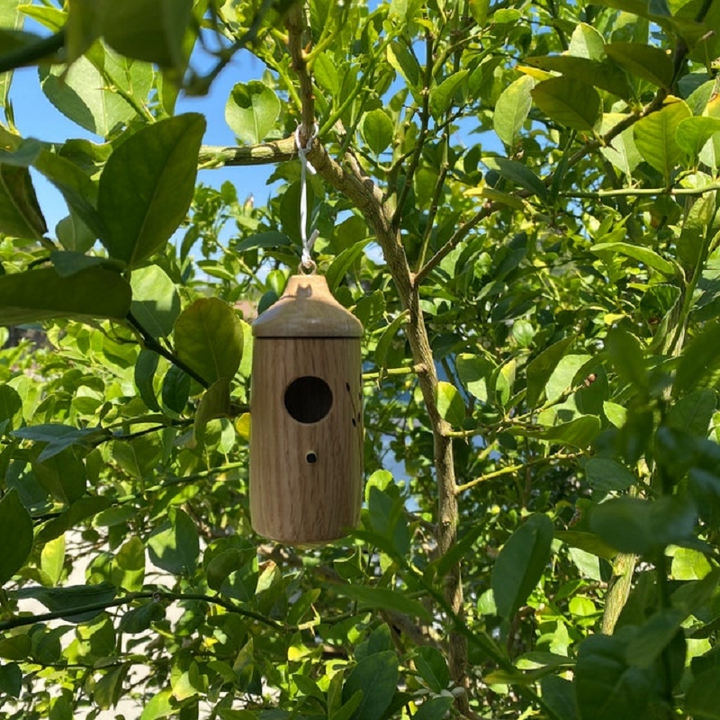 Drewniany domek dla kolibrów i ptaków w ogrodzie