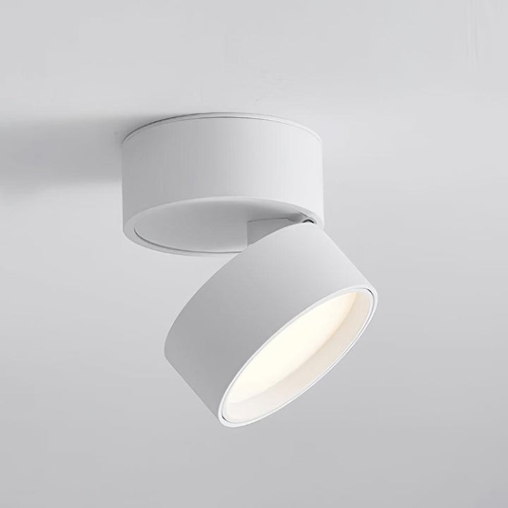 Regulowana lampa sufitowa LED do jadalni, nowoczesne oświetlenie z aluminium, czarny/biały mat.