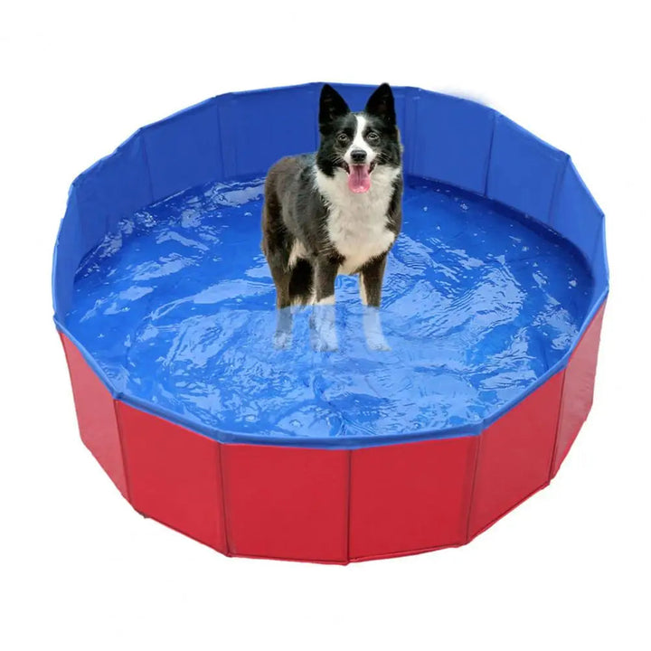 Przenośny basen dla psa, doskonały do ogrodu lub na wyjazdy. Zabawa i chłodzenie dla zwierzaka latem.