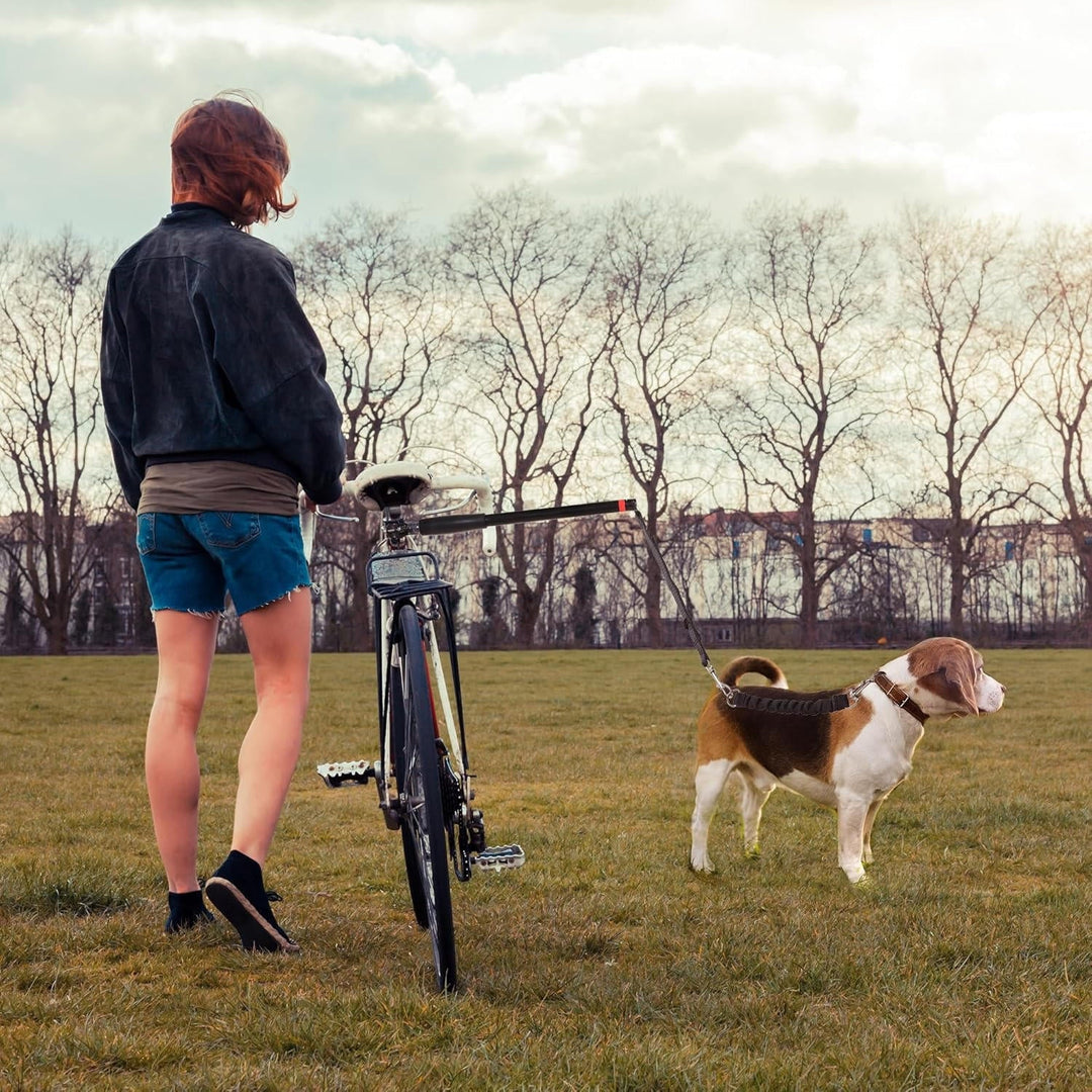 Aktywny outdoor z psem i rowerem. Niezawodna smycz rowerowa dla psa, idealna na wspólne wyprawy.