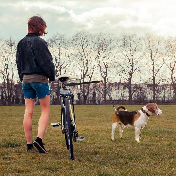 Aktywny outdoor z psem i rowerem. Niezawodna smycz rowerowa dla psa, idealna na wspólne wyprawy.