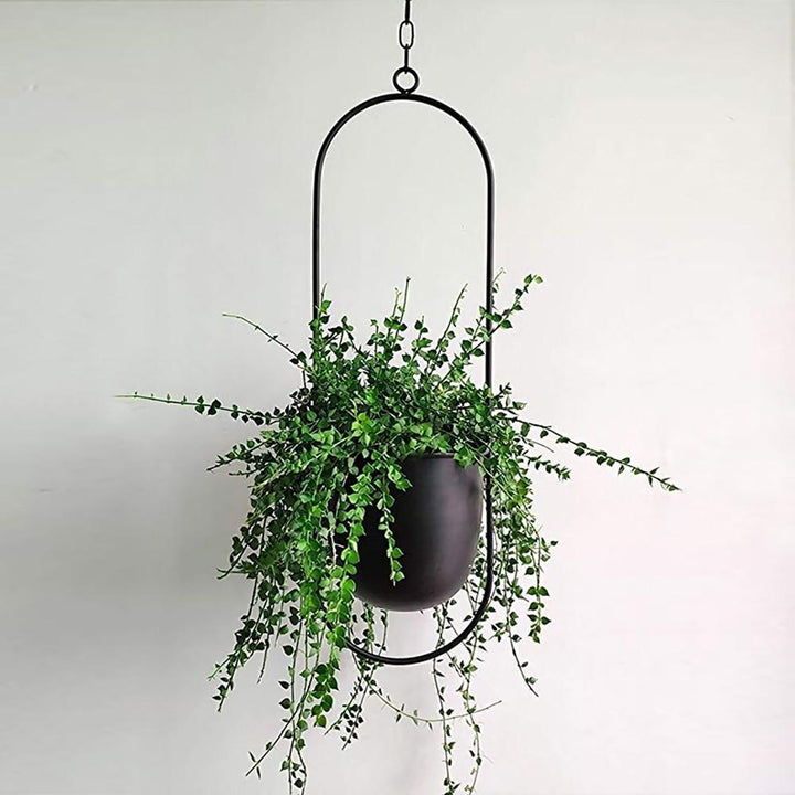 Nowoczesny metalowy wiszący kwietnik. Elegancki uchwyt na rośliny do domu i ogrodu. Minimalistyczny design.